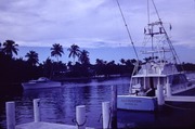 ia-Boats-in-Miami-Beach-Florida-1960s-__ia_thumb.jpg.jpg