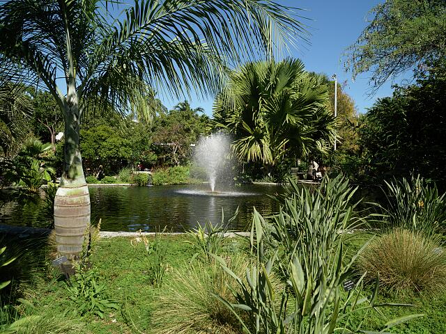 loc-Fountain-and-surroundings-at-the-Miami-Beach-Botanical-Gardens-in-the-Mid-Be.jpg