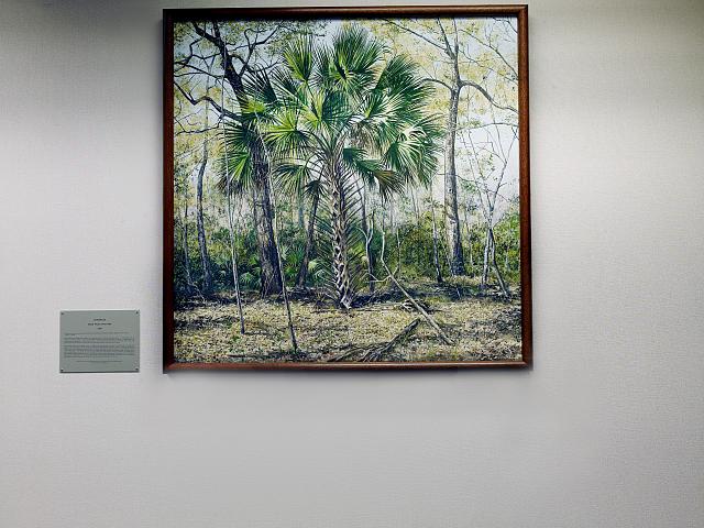 loc-Painting-Sabal-Palm-State-Tree-located-in-11th-floor-public-reception-area-J.jpg