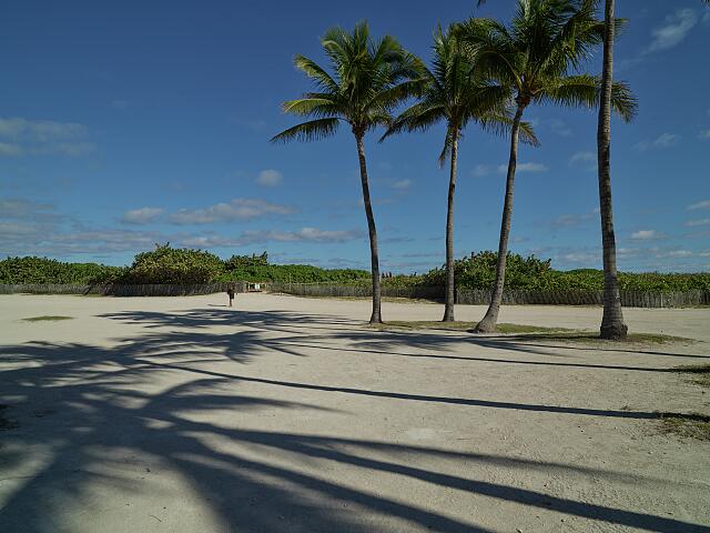 loc-Shadows-spread-across-the-sand-in-the-trendy-South-Beach-section-of-Miami-Be.jpg