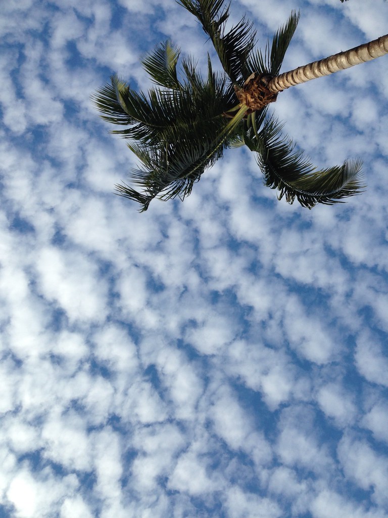 flickr-Cool-Miami-Clouds.jpg