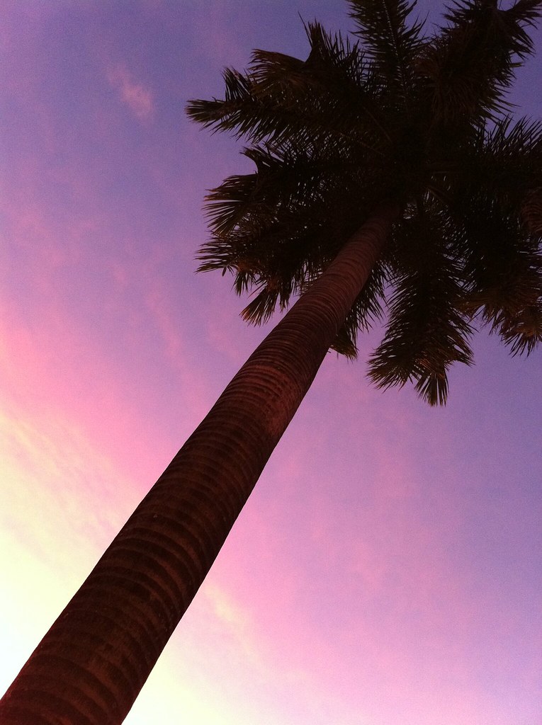 flickr-Crazy-Miami-Sky.jpg