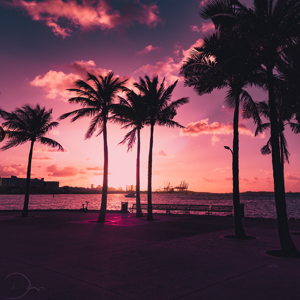 flickr-Miami-Sunrise.jpg