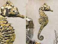 ia-Vik-Muniz-1961-Vik-Muniz-Seahorse_thumb.jpg.jpg