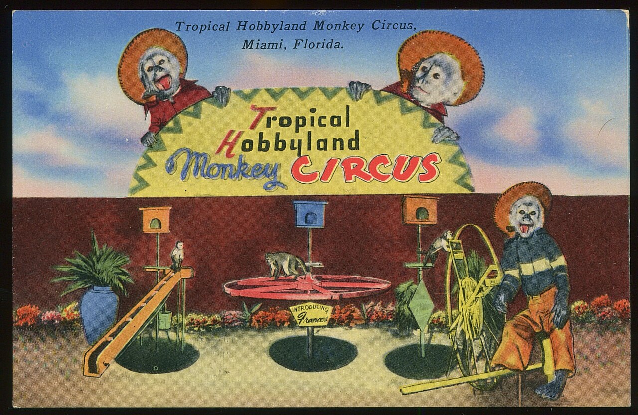 Tropical_Hobbyland_Monkey_Circus__Miami__Florida__circa_1953_-_Advertising_Postcard__5026009688_.jpg