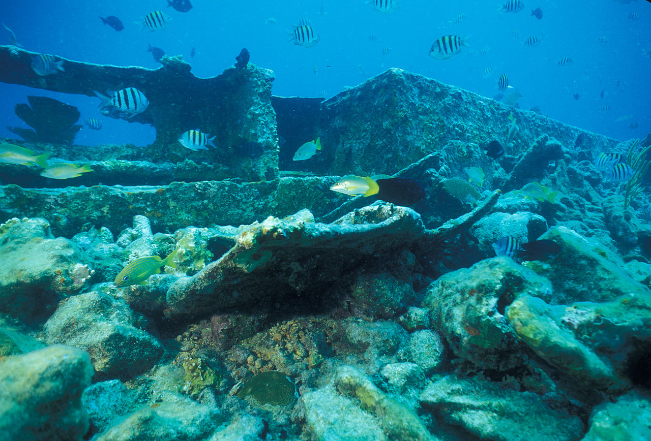 Biscayne_National_Park_H-alicia_wreck.jpg