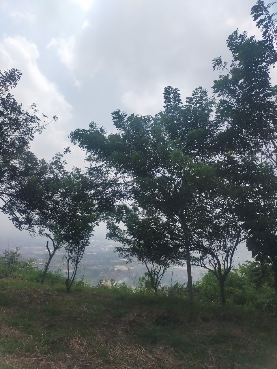 Gunung_Pucak_Salam_Kampung_Cireundeu.jpg