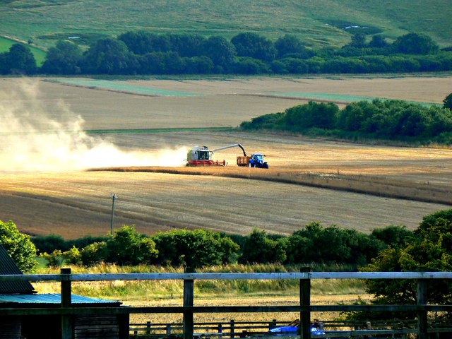 Harvesting_near_Overtown__Swindon_-_geograph.org.uk_-_3594737.jpg