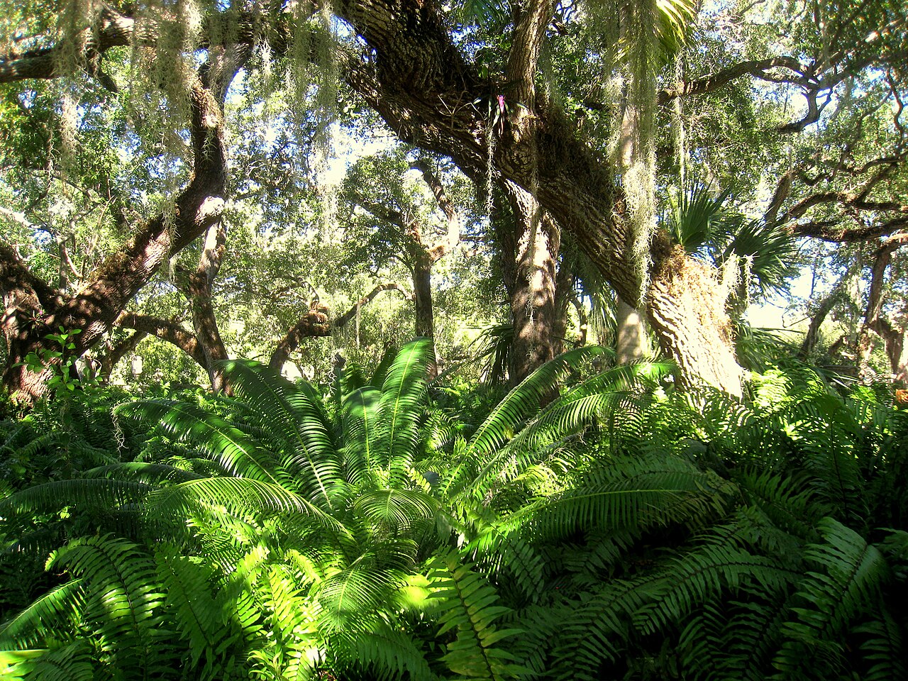 Villa_Vizcaya_-_IMG_8065.JPG