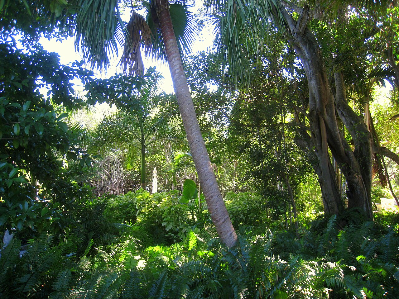 Villa_Vizcaya_-_IMG_8080.JPG
