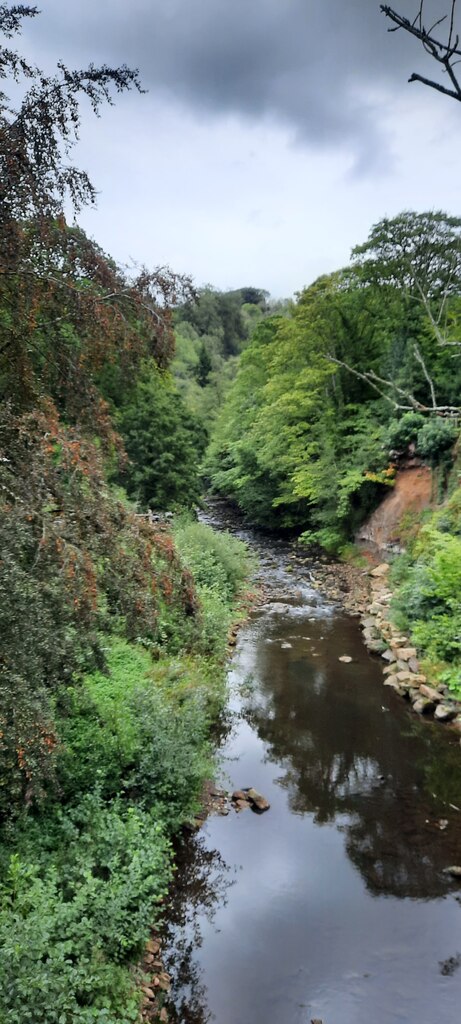 Murk_Esk_-_geograph.org.uk_-_8268800.jpg