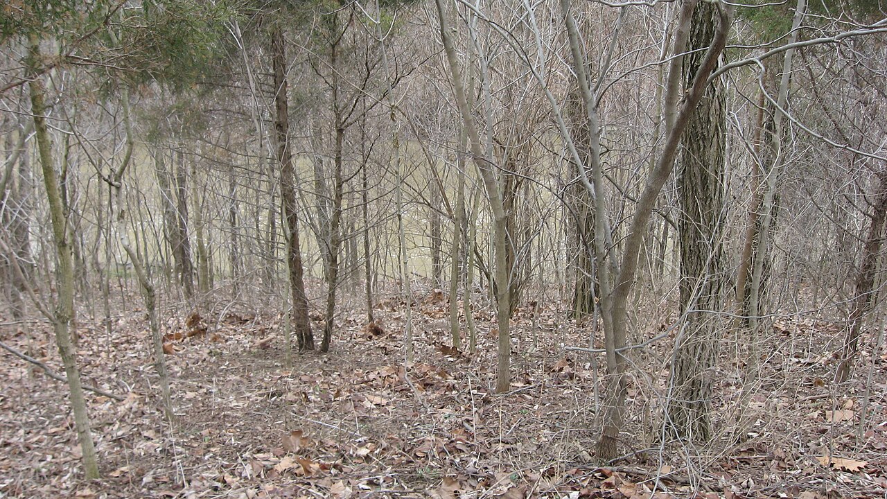 Turtle_Creek_Embankment_down_to_base.jpg