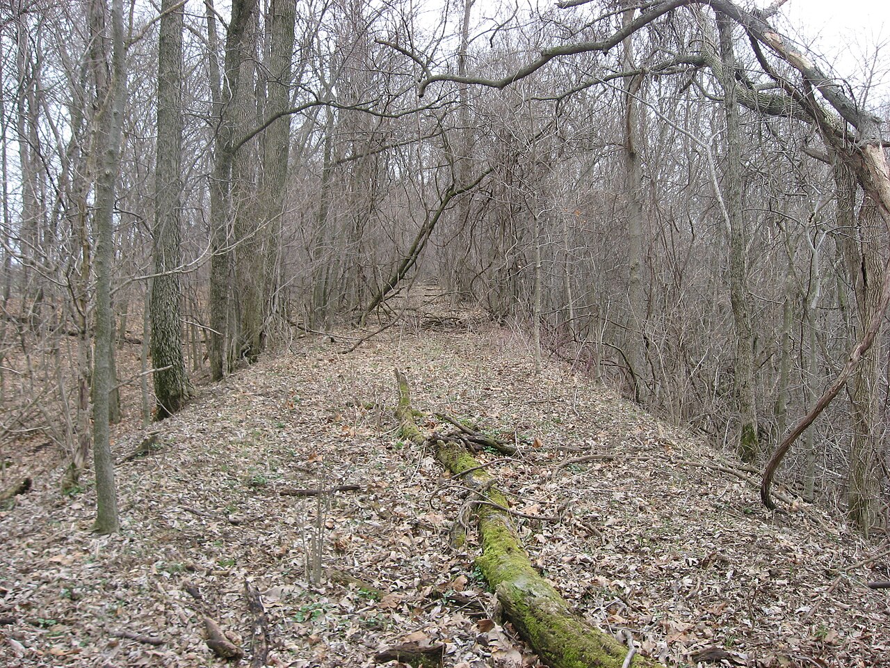 Turtle_Creek_Embankment_towpath.jpg
