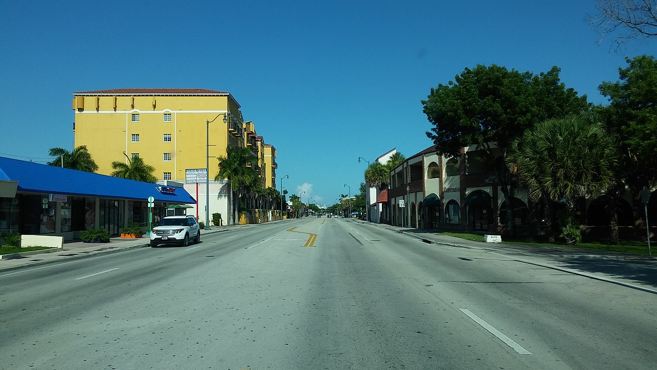 -CALLE-8__MIAMI_-_panoramio.jpg