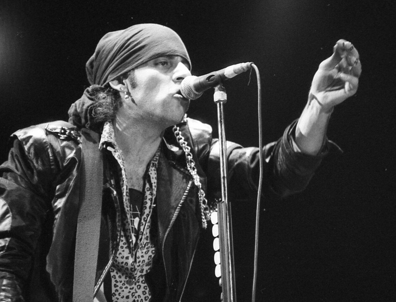 Miami_Steve_Van_Zandt_3__51413713526_.jpg