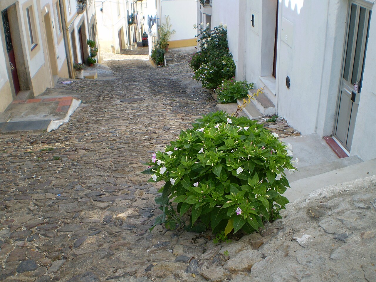 El_Mimo__Castelo_de_Vide__-_panoramio.jpg