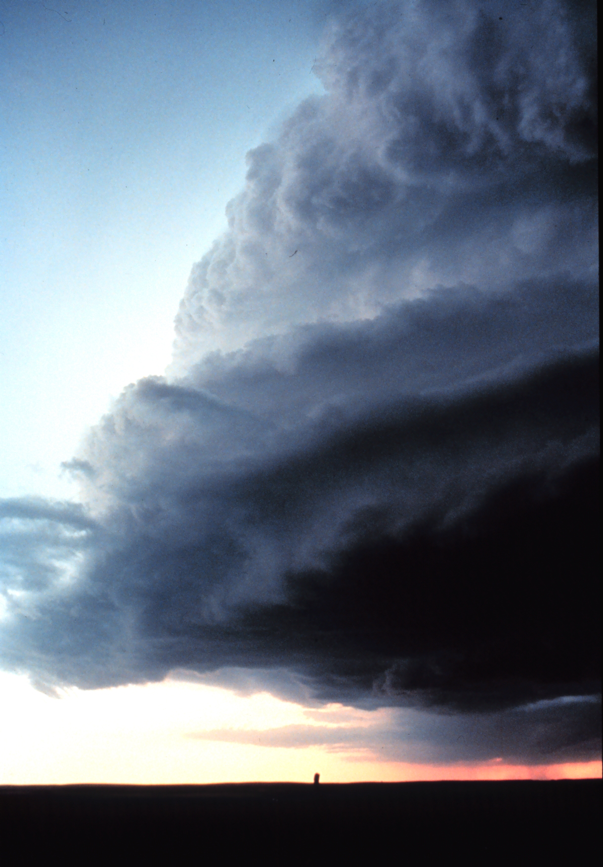 Shelfcloud.jpg