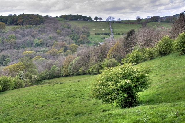 Murk_Esk_Valley_-_geograph.org.uk_-_1299478.jpg