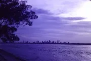 ia-Miami-skyline-1960s-__ia_thumb.jpg.jpg