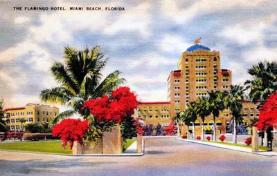 the-flamingo-hotel-miami-beach.jpg