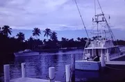 ia-Boats-in-Miami-Beach-Florida-1960s-__ia_thumb.jpg.jpg