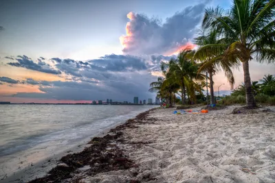 key-biscayne-sunset-miami-skyline.jpg