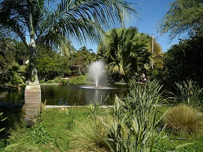 loc-Fountain-and-surroundings-at-the-Miami-Beach-Botanical-Gardens-in-the-Mid-Be.jpg