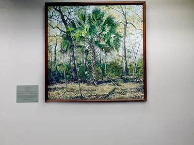 loc-Painting-Sabal-Palm-State-Tree-located-in-11th-floor-public-reception-area-J.jpg