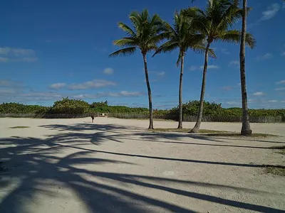loc-Shadows-spread-across-the-sand-in-the-trendy-South-Beach-section-of-Miami-Be.jpg