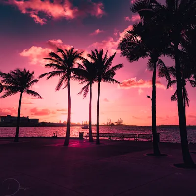 flickr-Miami-Sunrise.jpg