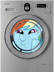 ia-My-Little-Pony-and-washing-machine-data-__ia_thumb.jpg.jpg