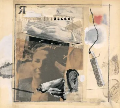 ia-Robert-Rauschenberg-1925-2008-65.D018_0.jpg.jpg