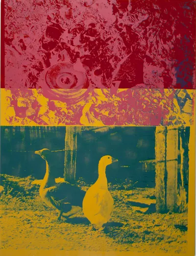 ia-Robert-Rauschenberg-1925-2008-88.002_600dpi.jpg.jpg