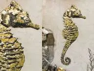 ia-Vik-Muniz-1961-Vik-Muniz-Seahorse_thumb.jpg.jpg