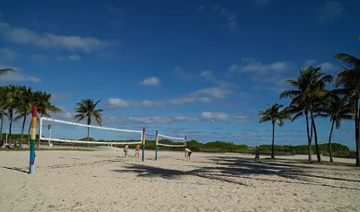loc-Even-though-the-two-volleyball-players-to-the-left-of-the-net-have-a-manpowe.jpg