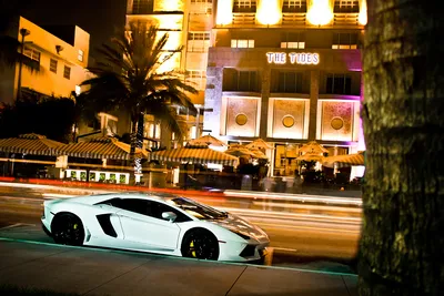 The_new_guy_in_town.