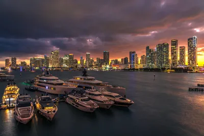 Miami_Skyline___Downtown___Biscayne_Bay___P_20241212_08324-1
