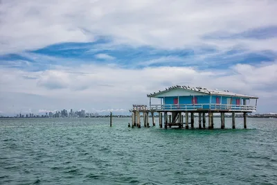 Stiltsville