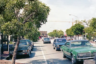 Coconut_Grove_Business_District__Miami__1983