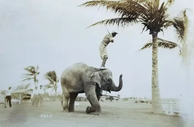 HistoryMiami_02May1927_26