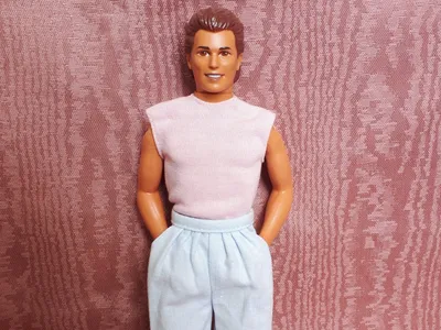 Barbie_Pet_Show_Ken_Fashion__3667_from_1986