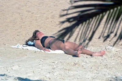 Sunning_Woman__Hollywood_Beach__1985
