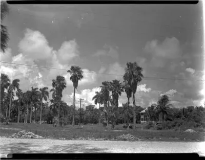 View_of_Mary_Street_and_South_Dixie_Highway