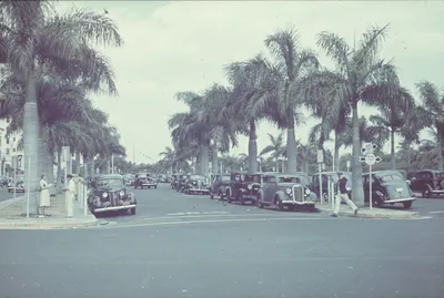 Reisefotos_USA._Miami__Florida___E._Flagler_Street._Parkende_Autos_und_Palmen