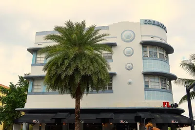 Collins_Avenue