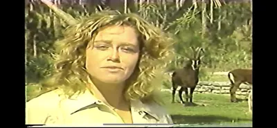 Sable_Antelope___Zoo_Miami__June_5_1987