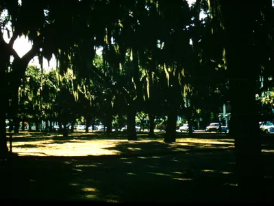 Park_in_Myrtle_Beach__South_Carolina_1960s