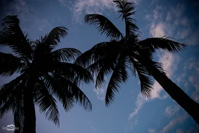 keybiscayne_june_2023-13