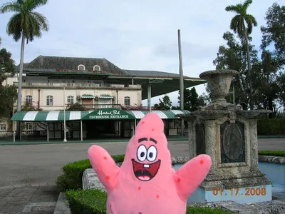 Partrick_visits_historic_hialeah_park__miami_jockey_club___flamingos