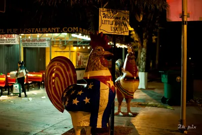 Welcome_to_Little_Havana